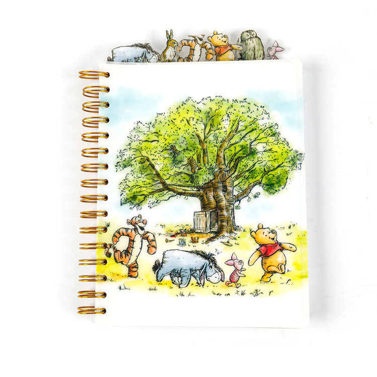 Waarom zijn spiraalvormige notitieboekjes nog steeds de meest betrouwbare keuze om te schrijven?